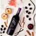 OZV Old Vine Zinfandel 2020 Easy to Love Gift Product Image