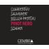 Cembra Cantina di Montagna Pinot Noir 2015 Front Label
