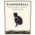 Cannonball Sauvignon Blanc 2018 Front Label