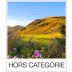 Hors Categorie Syrah 2017 Front Label