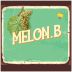 Un Voyage dans les Vignes Melon B 2022 Front Label