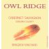 Owl Ridge Wines Bridgen Vineyard Cabernet Sauvignon 2004 Front Label