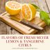 Robert Mondavi Napa Valley Fume Blanc 2018 Gift Product Image