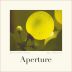 Aperture Sauvignon Blanc 2024 Front Label