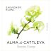Alma de Cattleya Sauvignon Blanc 2022 Front Label