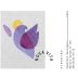 Nova Vita Wines Firebird Cabernet Sauvignon 2018 Front Label