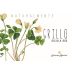 Caruso & Minini Naturalmente Bio Grillo 2021 Front Label