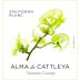 Alma de Cattleya Sauvignon Blanc 2025 Front Label