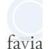Favia Coombsville Cabernet Sauvignon 2015 Front Label