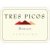 Borsao Tres Picos Garnacha 2018 Front Label