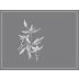 Arnot-Roberts Trousseau 2022 Front Label