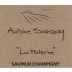 Domaine Antoine Sanzay Saumur Champigny La Paterne 2021 Front Label