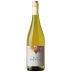 Elsa Bianchi Chardonnay 2021 Front Bottle Shot