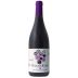 Pinol Raig De Raim Tinto 2022 Front Bottle Shot