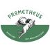Prometheus Montepulciano 2021 Front Label