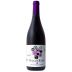 Pinol Raig De Raim Tinto 2019 Front Bottle Shot