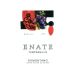 Enate Tempranillo 2019 Front Label