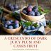 Robert Mondavi Maestro 2014 Pairs well with dark plums and cassis Gift Product Image