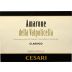 Cesari Amarone della Valpolicella Classico 2019 Front Label