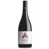 Artesa Carneros Pinot Noir 2020 Front Bottle Shot