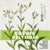 BioKult Wine Gruner Veltliner 2024 Front Label