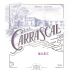 Weinert Carrascal Malbec 2018 Front Label