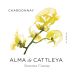 Alma de Cattleya Chardonnay 2017 Front Label