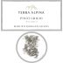 Alois Lageder Terra Alpina Vigneti delle Dolomiti Pinot Grigio 2023 Front Label