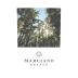 Marciano Estate Cabernet Sauvignon 2021 Front Label