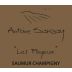 Domaine Antoine Sanzay Saumur Champigny Les Poyeux 2022 Front Label