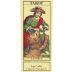 Secret Indulgence Tarot Napa Valley Cabernet Sauvignon 2020 Gift Product Image