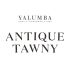 Yalumba Antique Tawny Port (375ML half-bottle) Front Label