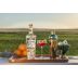 Farmer's Small Batch Organic Gin Farmer's Gin Negroni Gift Product Image