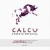Calcu Cabernet Sauvignon 2016 Front Label