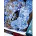 Moet & Chandon Imperial Brut Pharrell Williams Special Edition (Blue) with Gift Box Gift Product Image
