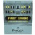 Pasqua Pinot Grigio 2021 Front Label