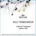 Segal's Wild Fermentation Cabernet Sauvignon (OK Kosher) 2019 Front Label
