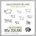 The Little Sheep Sauvignon Blanc 2025 Front Label