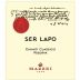 Mazzei Chianti Classico Riserva Ser Lapo 2014 Front Label
