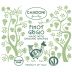 Candoni Organic Pinot Grigio 2023 Front Label