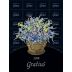 Il Molino di Grace Gratius 2018 Front Label