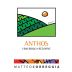Matteo Correggia Anthos 2017 Front Label
