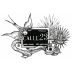 Calle 23 Criollo Blanco Tequila Front Label