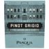 Pasqua Pinot Grigio 2022 Front Label