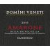 Domini Veneti Amarone della Valpolicella Classico 2015 Front Label