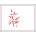 Arnot-Roberts Heaven and Earth Vineyard Pinot Noir 2023 Front Label