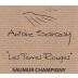 Domaine Antoine Sanzay Saumur Champigny Les Terres Rouges 2020 Front Label