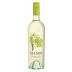 Mason Napa Valley Sauvignon Blanc 2024 Front Bottle Shot
