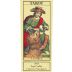 Secret Indulgence Tarot Napa Valley Cabernet Sauvignon 2015 Gift Product Image