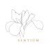 Sentium Sauvignon Blanc 2024 Front Label